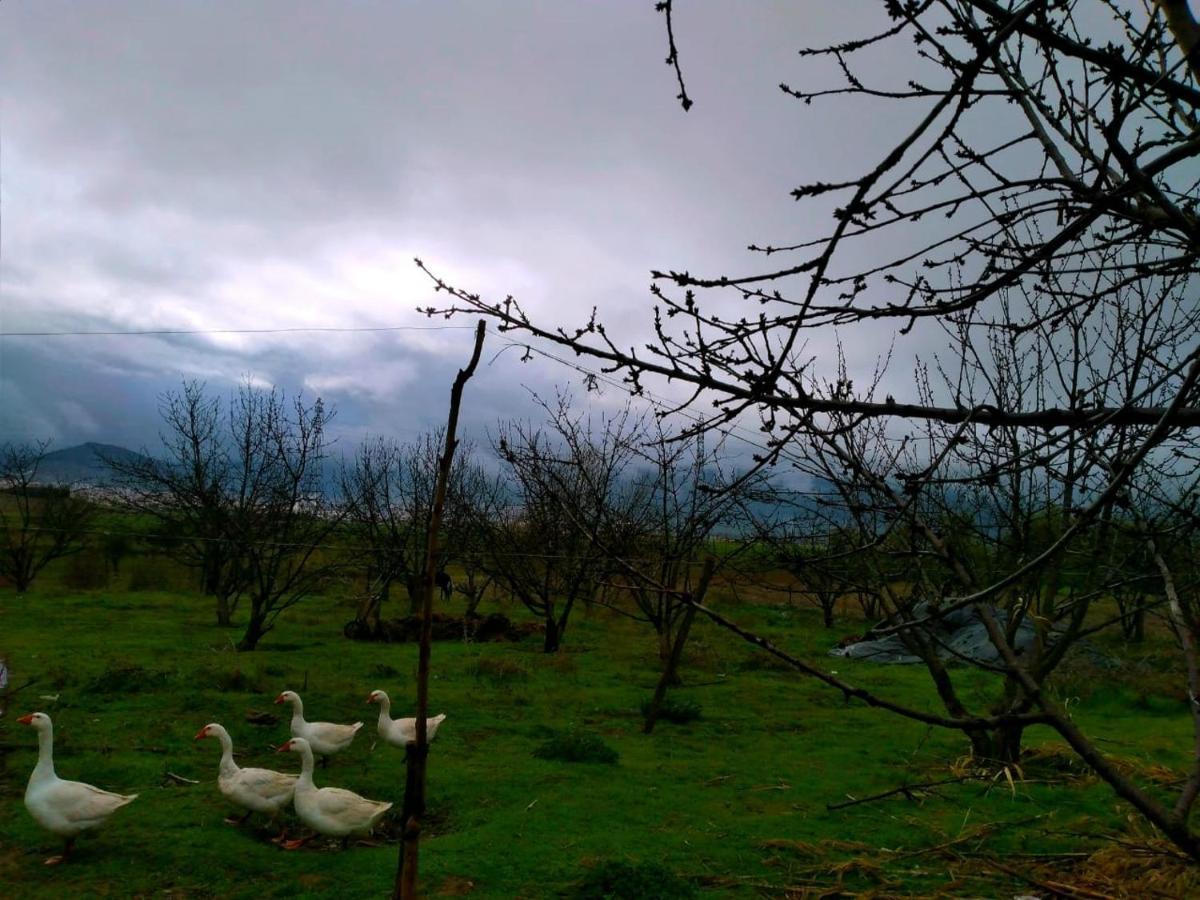 Ferme D'Hote La Vallee Azrou Exterior foto