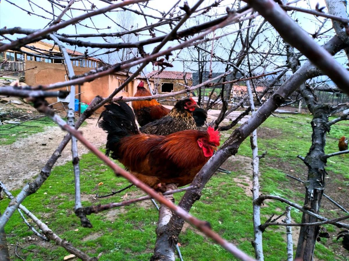Ferme D'Hote La Vallee Azrou Exterior foto